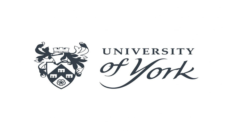 university-of-york8313