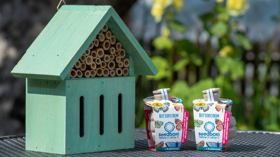 BG - SGB_3422 - A house for butterflies and two seedbom pollinators to encourage butterflies into a garden