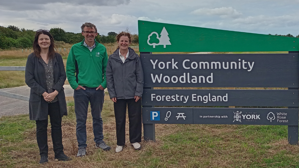 Community Woodland Opening