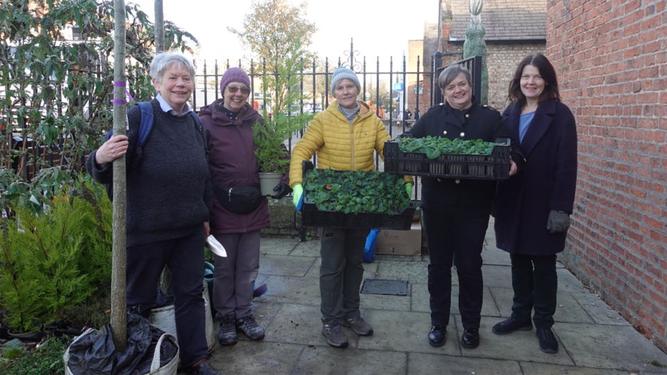 AFS planting image