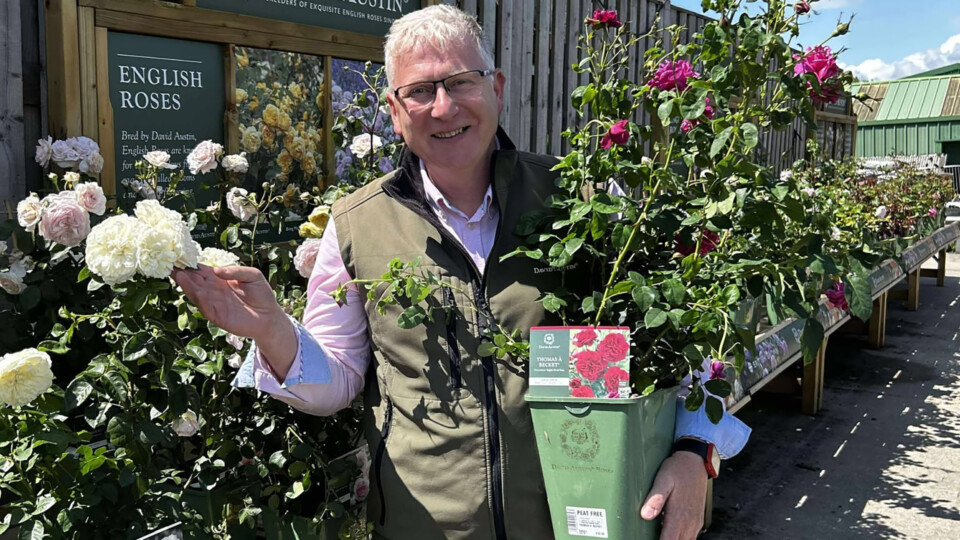 Andy Rollings, David Austin Roses' key account manager Andy Rollings from David Austin Roses