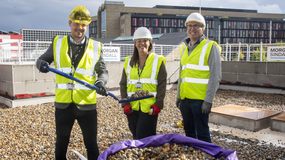 (L-R) Bradford College Head of Engineering & Motor Vehicle Stephen Smith, Head of Projects Pamela Sheldon, and Vice Principal Chris Malish assist with the laying of a roof ballast at the new Junction Mills building.