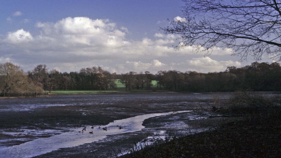 Beck flowing through the river bed of an empty Harewood Lake, 2005, Harewood House Trust
