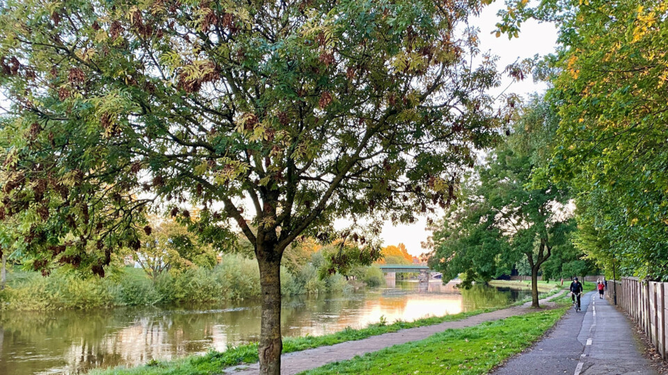 York riverside path evening 2025 09 23_cropped York riverside path evening 2025 09 23_cropped
