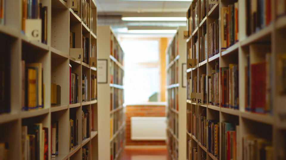 k8-qX1d8KT18kk-unsplash