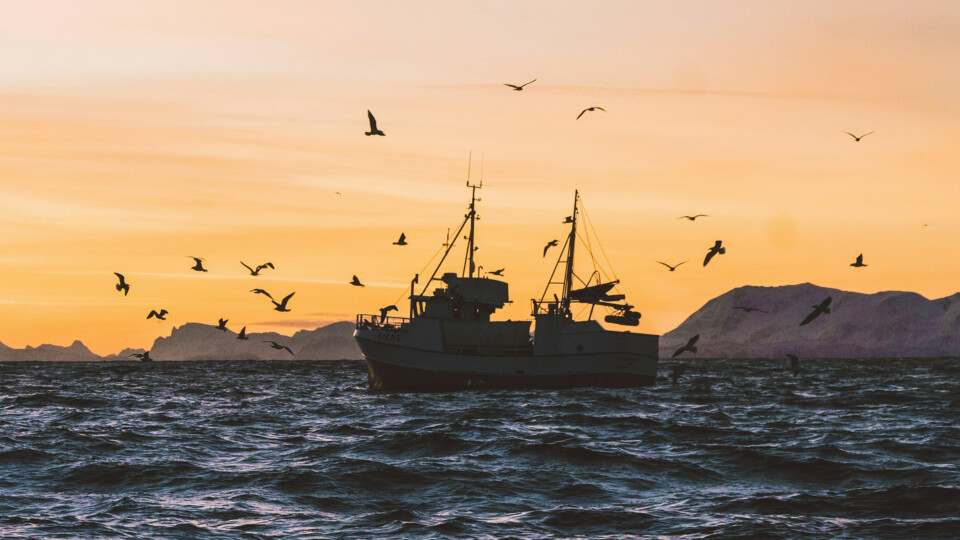 Image for Fortuna press release_Dec 2025