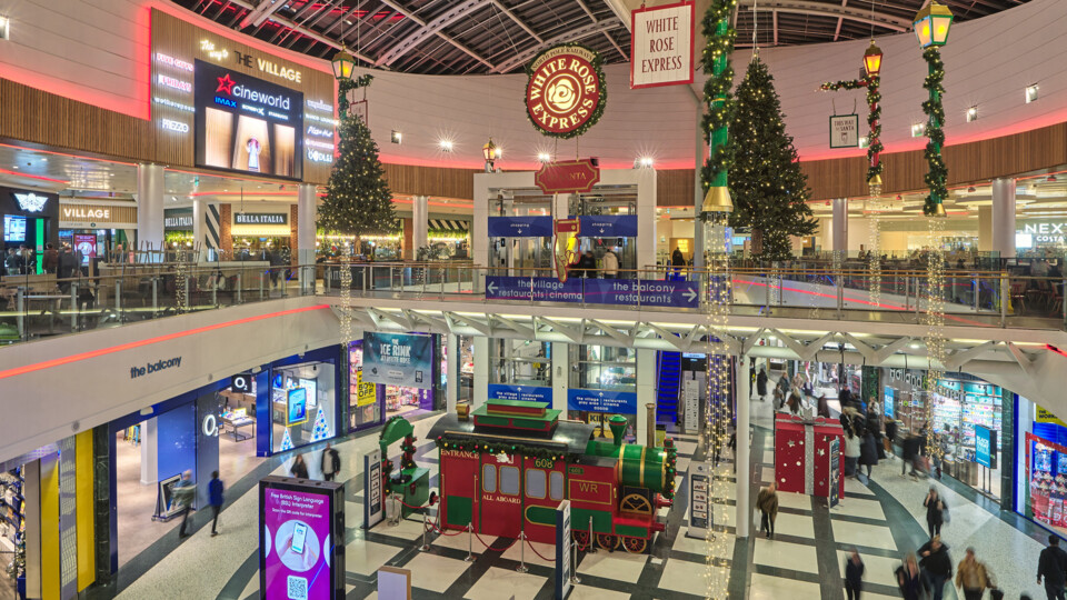 White Rose Christmas 2025 (1)