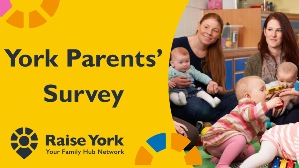 York parents survey banner