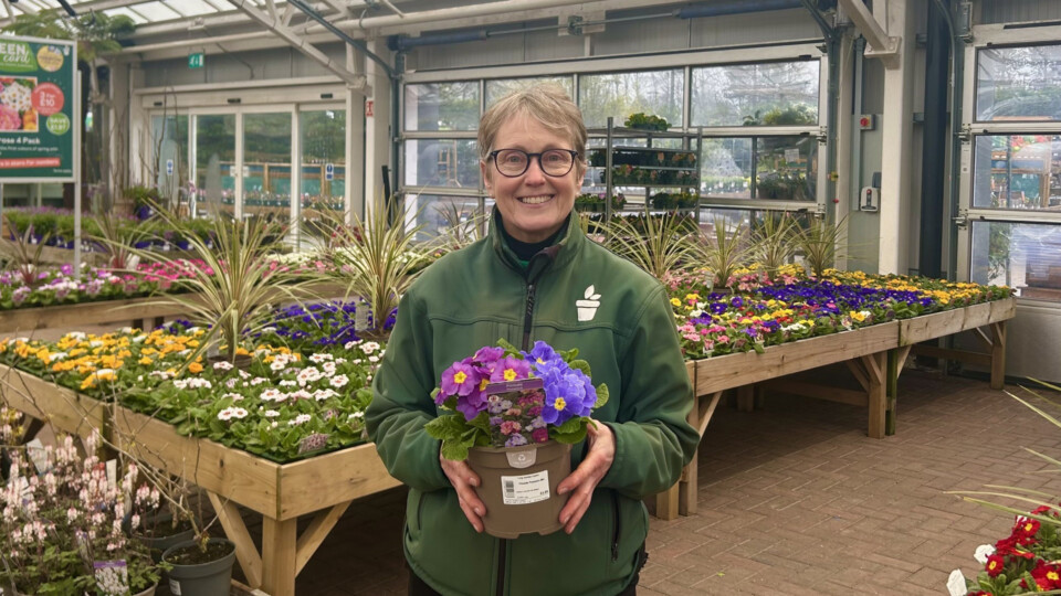Angela Shaw with some of the primroses featured in the celebration