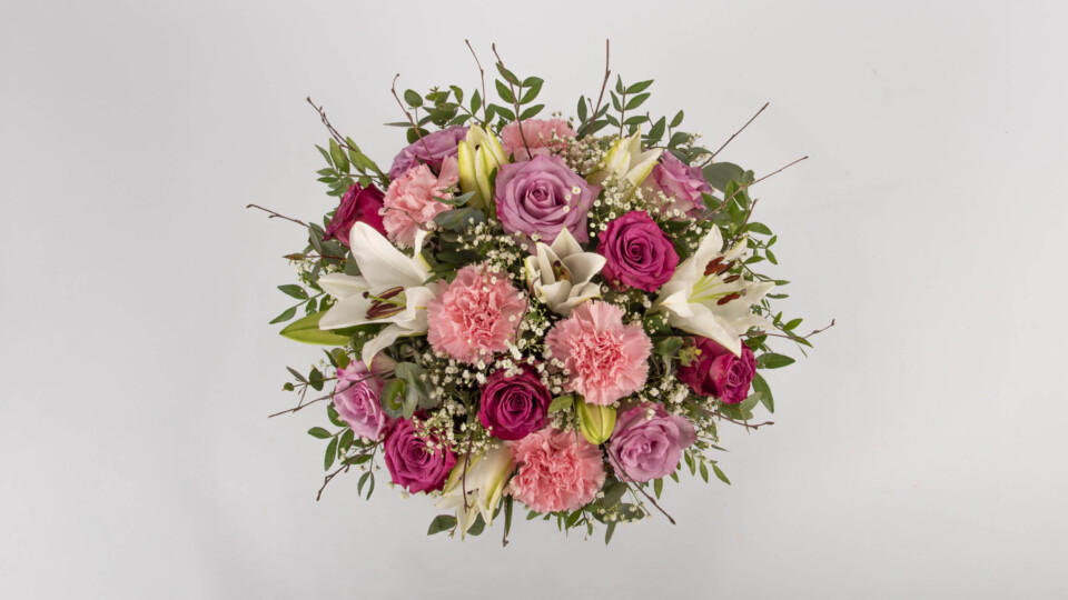 950bef70-e0aa-4bcd-851e-b5dff9b9b822 copy