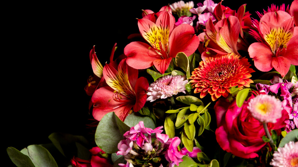 carlo-cucchia-DHUFjpmTYds-unsplash