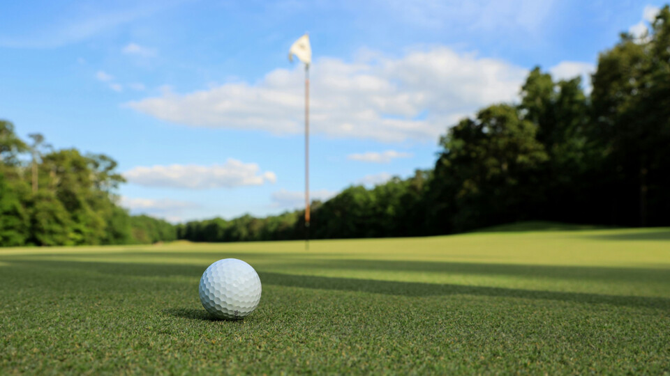 mk-s-WHf1wtNMMLU-unsplash