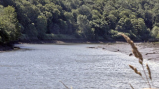 River Esk Credit Burns 2025