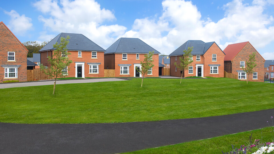 B&DWYE - Typical Street Scene at a David Wilson Homes Development