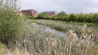 Barratt - Oakfield Village, Kingsbrook - multi-functional SuDS area with drainage, biodiversity, views, amenity and access to nature