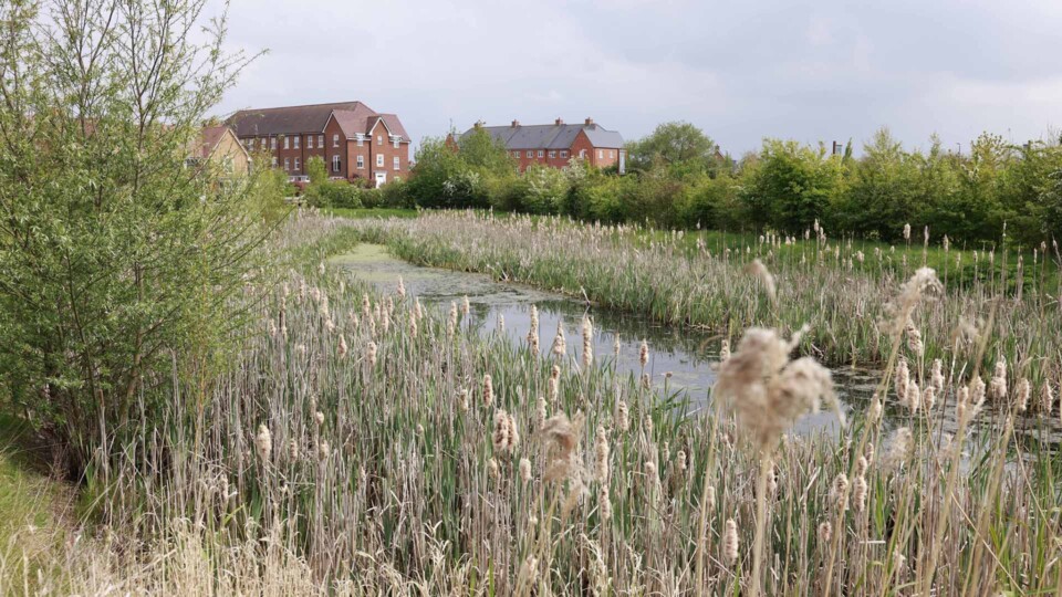 Barratt - Oakfield Village, Kingsbrook - multi-functional SuDS area with drainage, biodiversity, views, amenity and access to nature